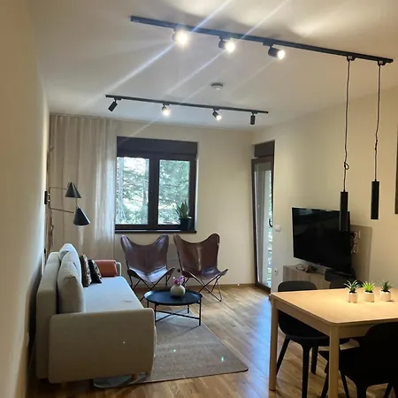 Sunny View Apartment Zlatibor