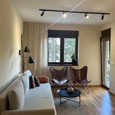 Apartment Sunny View Zlatibor