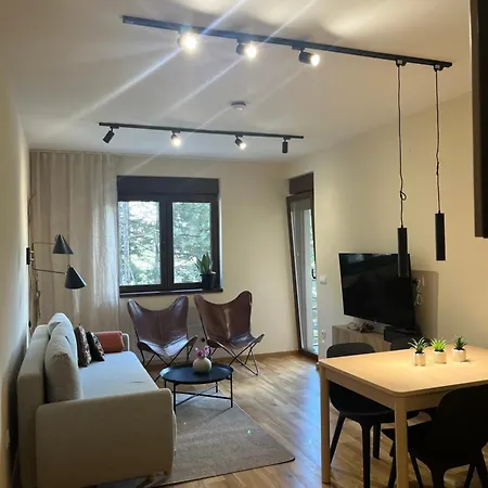 Apartment Sunny View